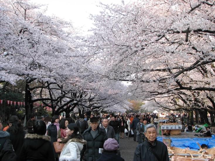 ueno park