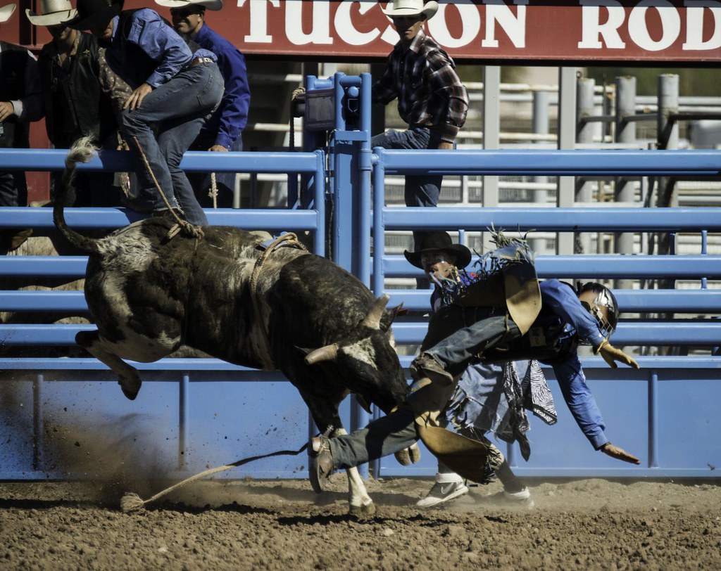 university of arizona rodeo