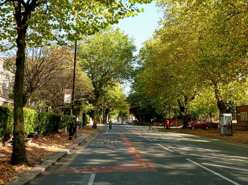 upper chorlton road in the autumn