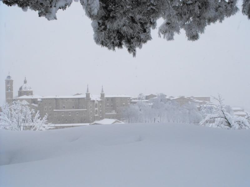 4 - Urbino, 80 cm