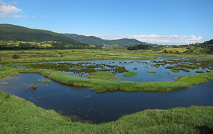 urdaibai biosfera