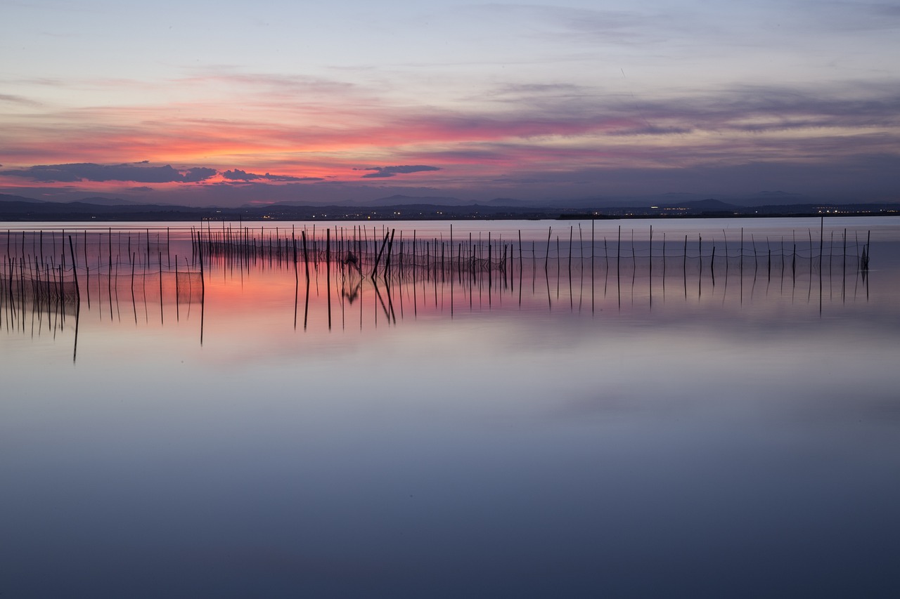 valencia albufera tramonto scenario