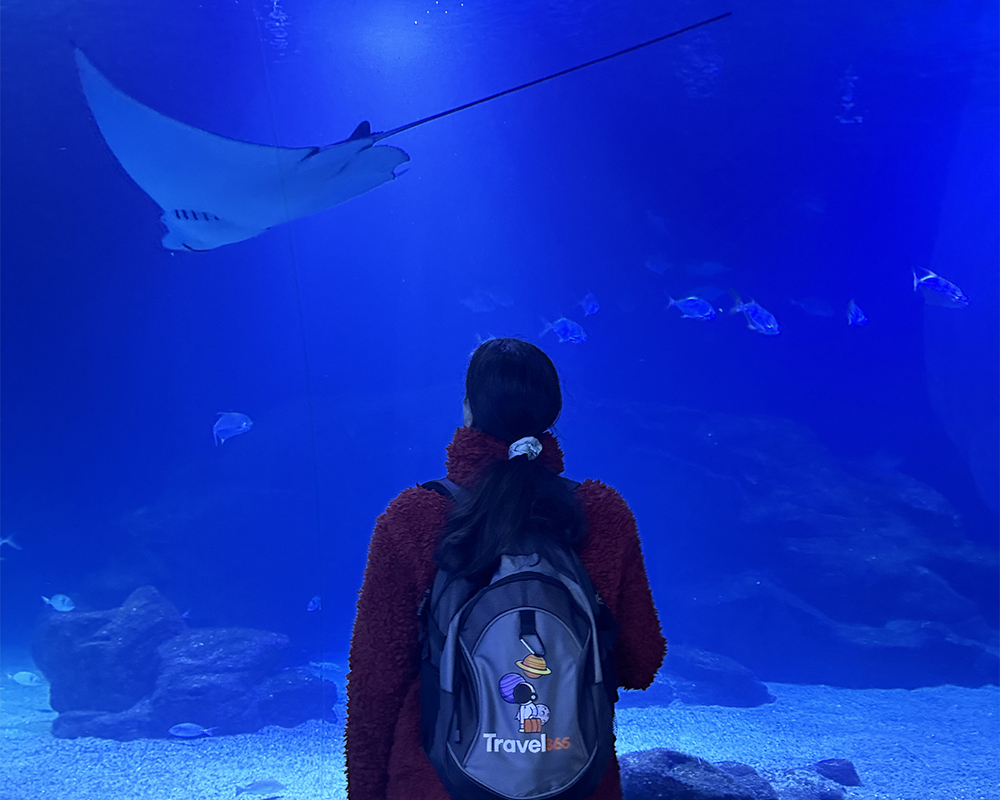 valencia oceanografic interno1