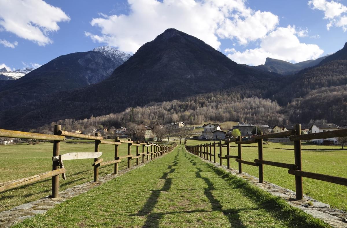 valle d aosta prato verde erba 1