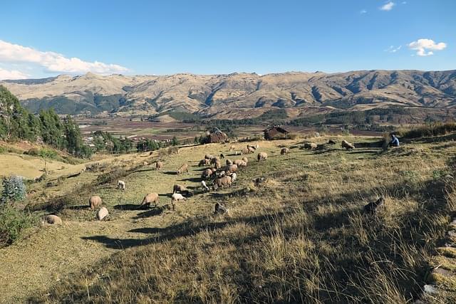 valle sacra cuzco