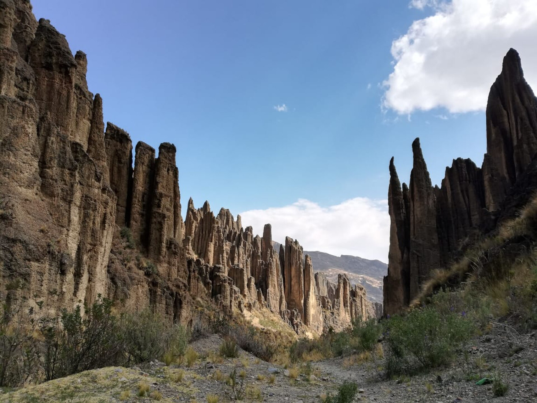 valledelasanimaslapazbolivia 3
