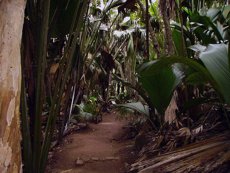 vallee de mai1