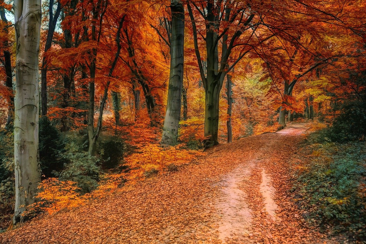 valtellina autunno