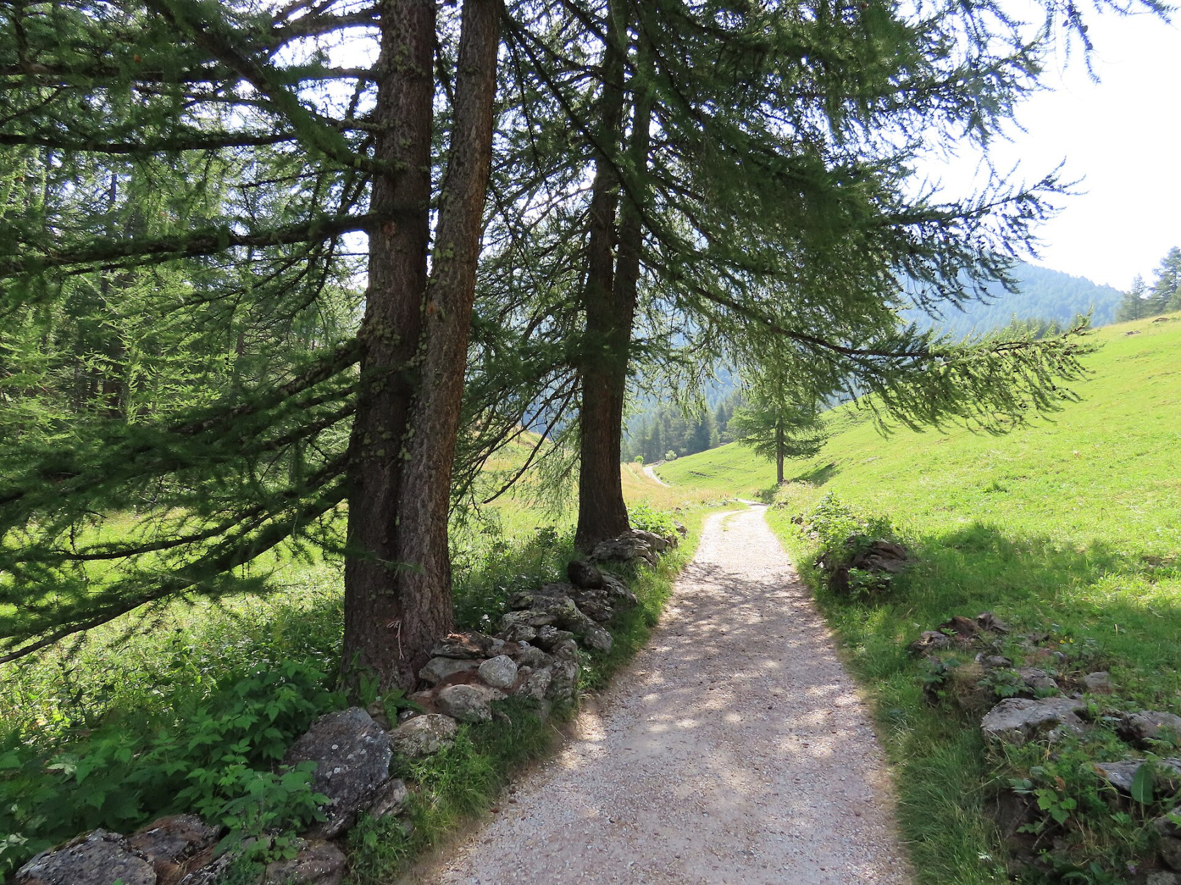 via alpina le monal 01