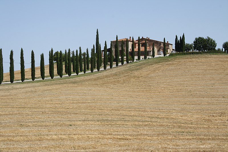 via cassia masseria e cipressi