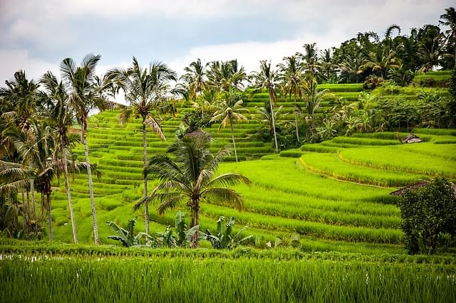 viaggio a bali