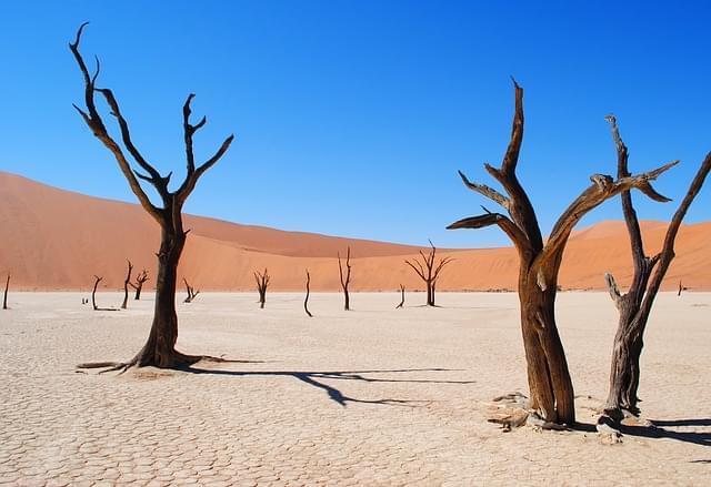 parco nazionale etosha in Namibia