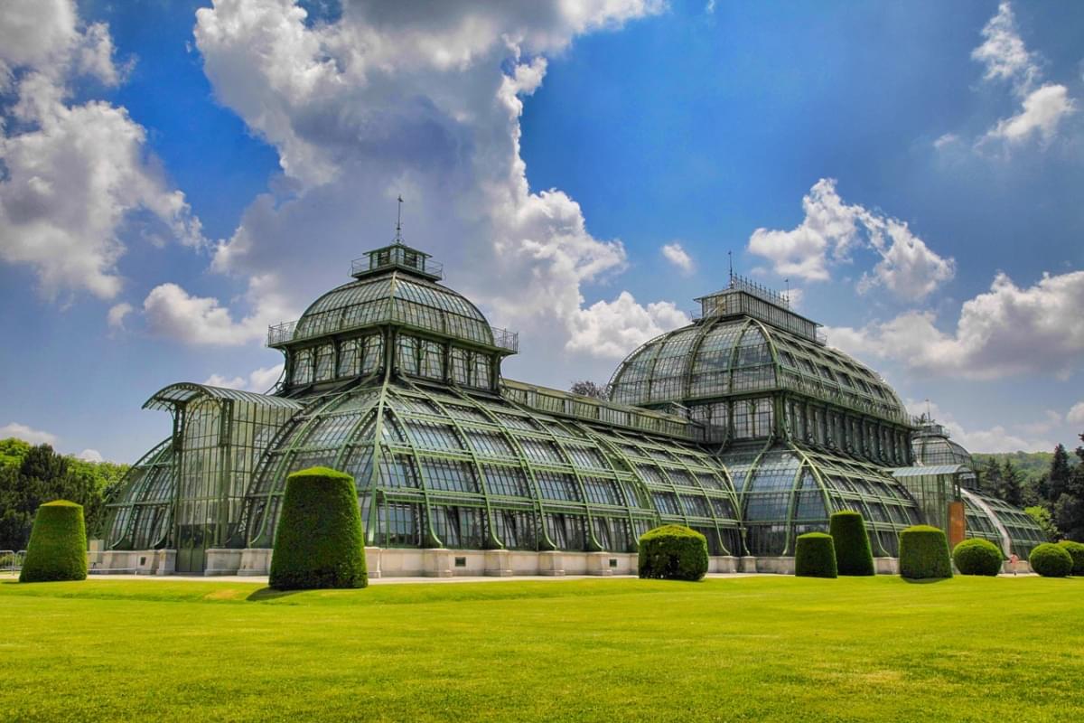 vienna verde nella casa della palma