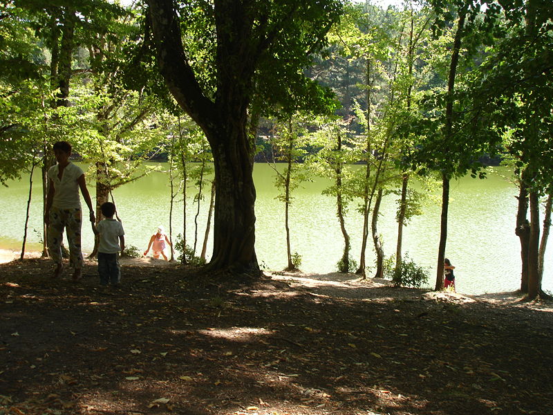 Foresta Umbra, Italia