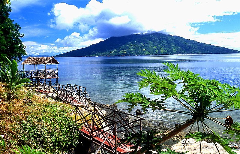 view of nosy komba madagascar