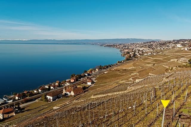 vigne lavaux svizzera ginevra