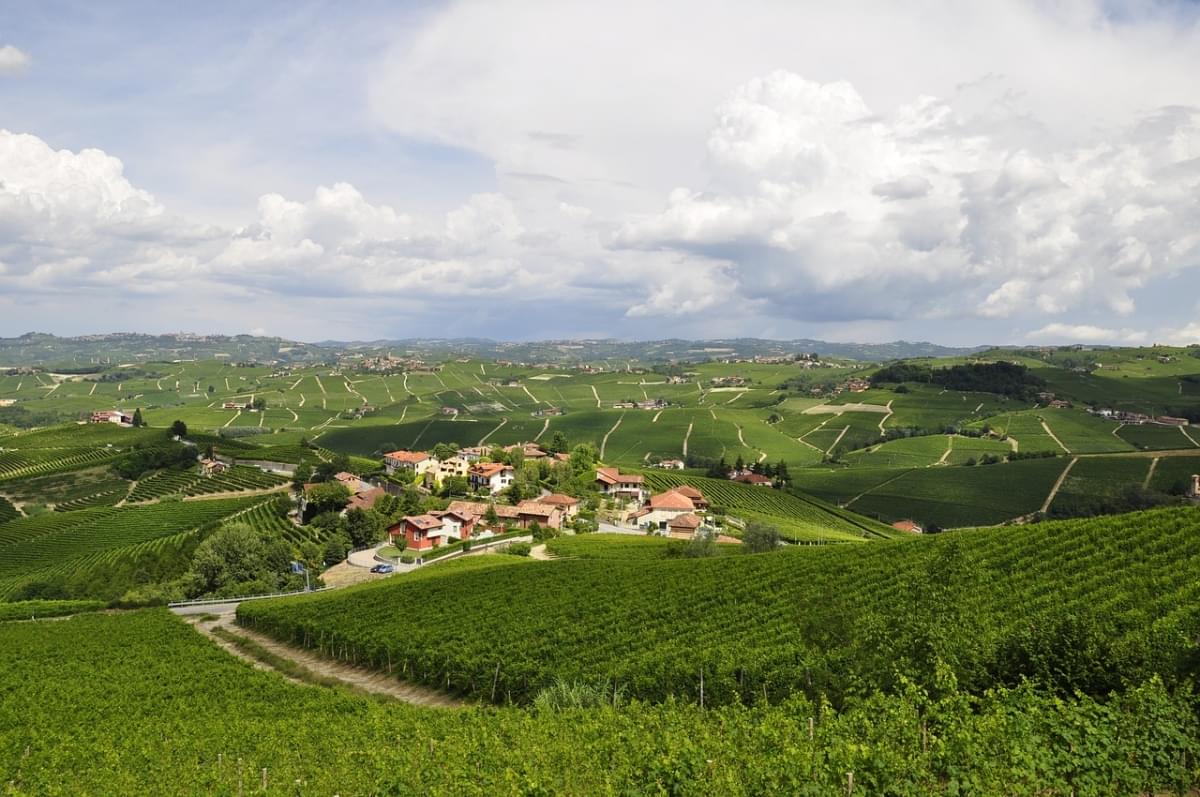 vigneti langhe colline