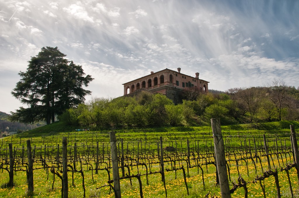 villa dei vescovi 1