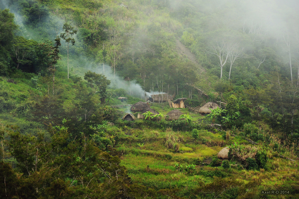 village in the baliem valley west papua