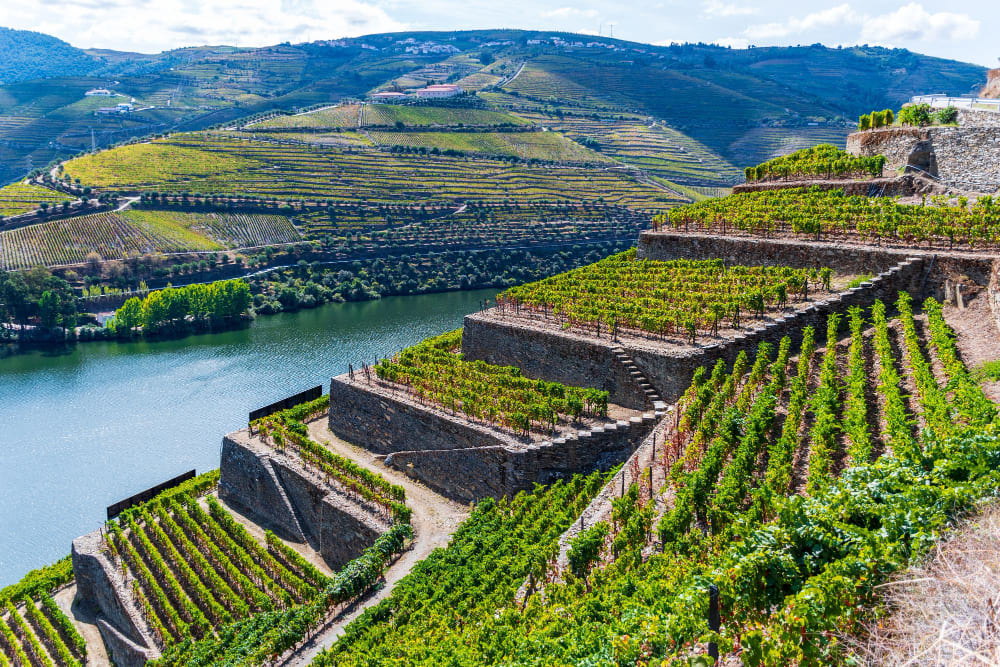 vista aerea panoramica del fiume douro circondato da montagne in una giornata di sole