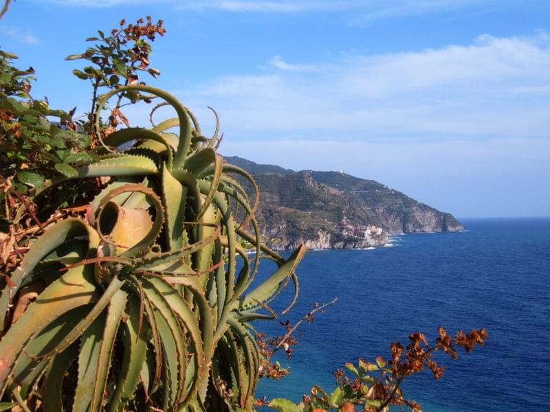 vista da corniglia