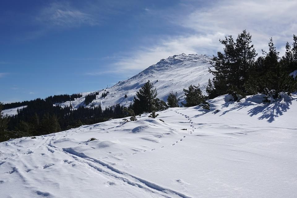 vitosha neve sofia