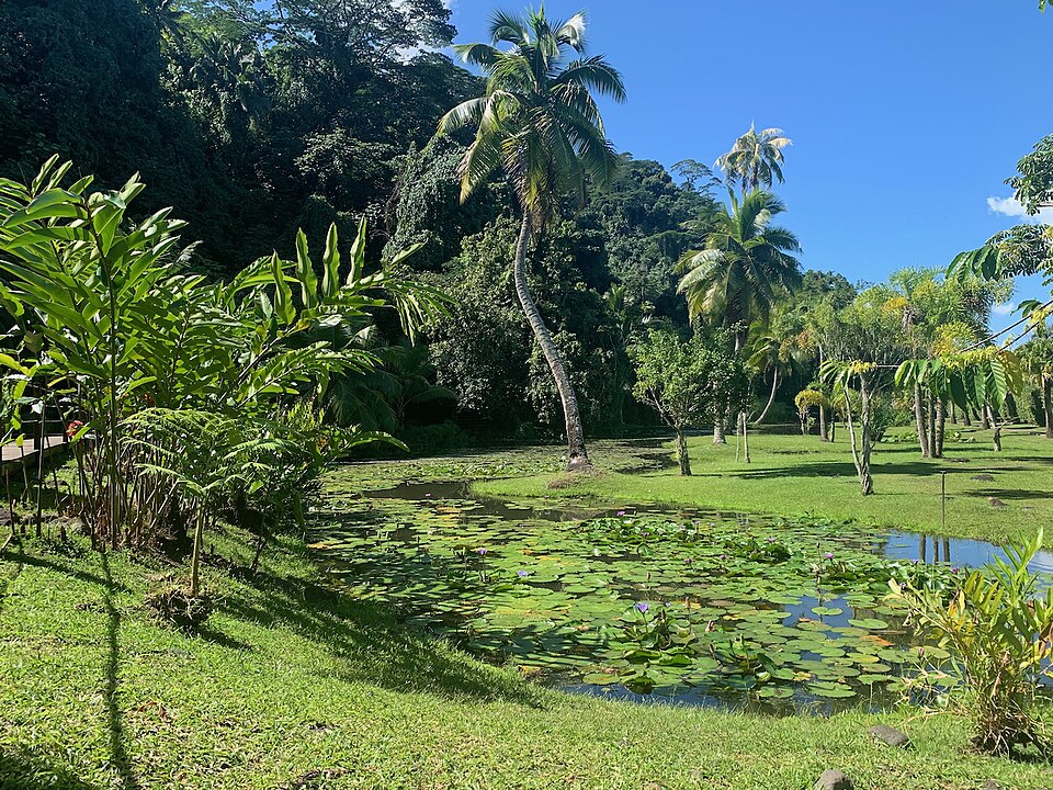 vue d ensemble de vaipahi