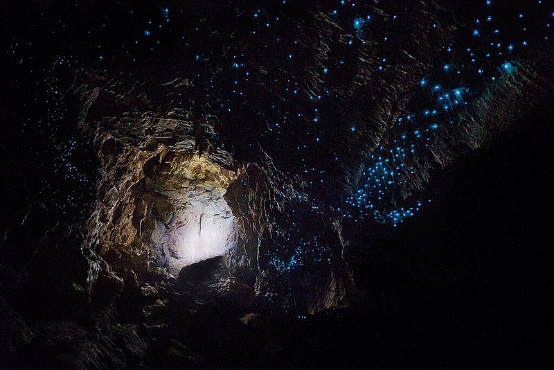 waitomo cave