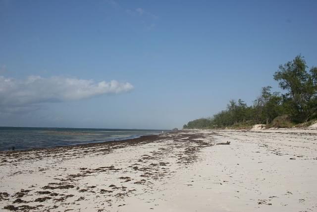 watamu bay