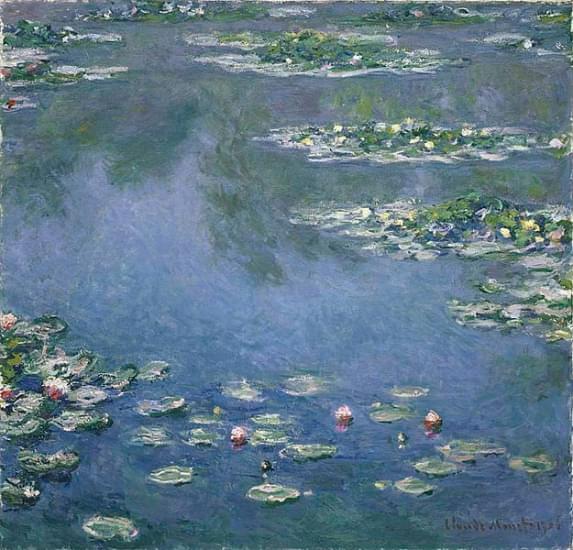 water lilies