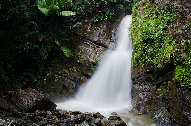 waterfall in el yunque