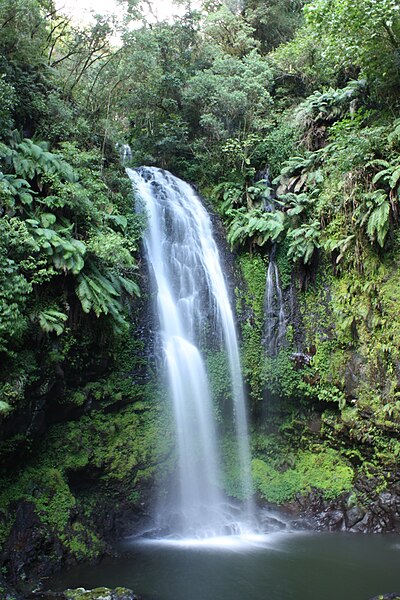 waterfall montagne d ambre ms5563