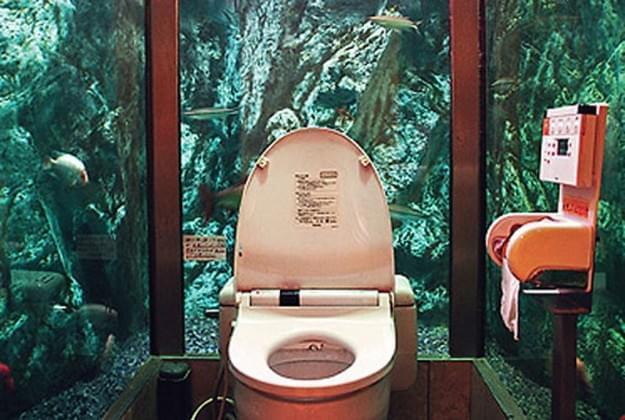 Wc con pareti in Acquario