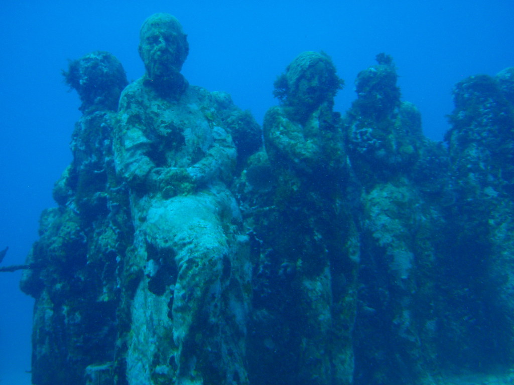 we are the reef 1