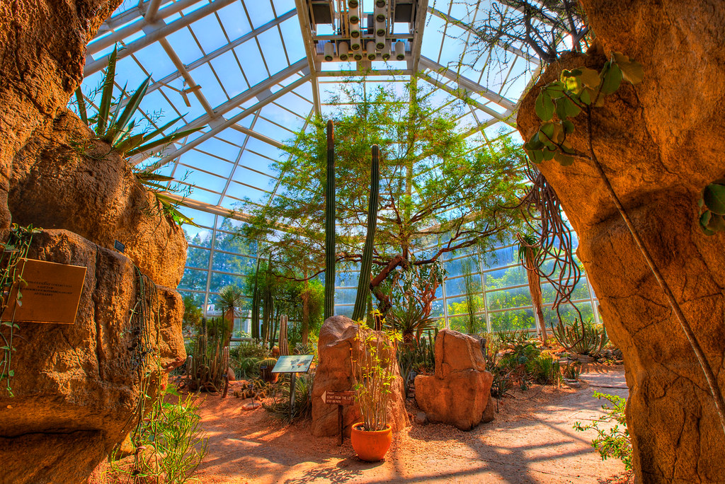 welcome to the desert pavilion brooklyn botanic garden ny