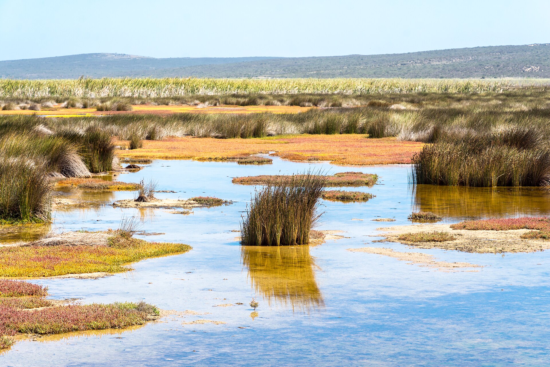 westcoastnationalpark southafrica9