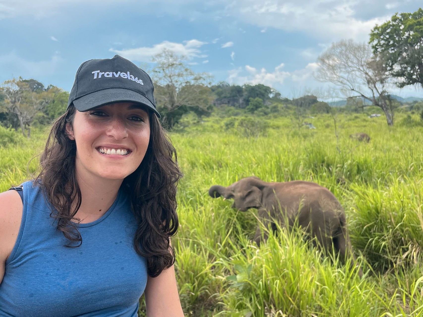 wild elephant safari risultato