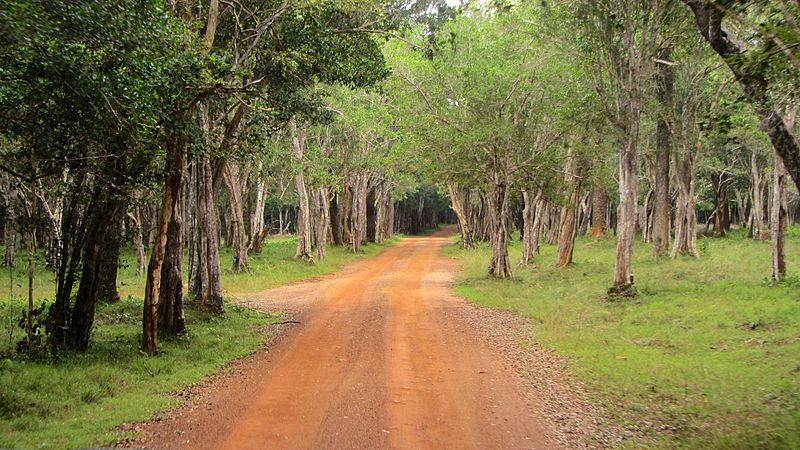 wilpattu national park sri lanka