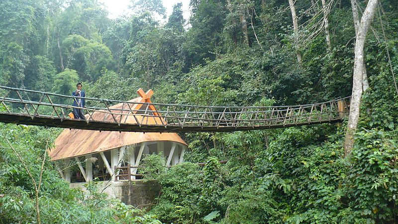 Foresta pluviale tropicale di Xishuangbanna