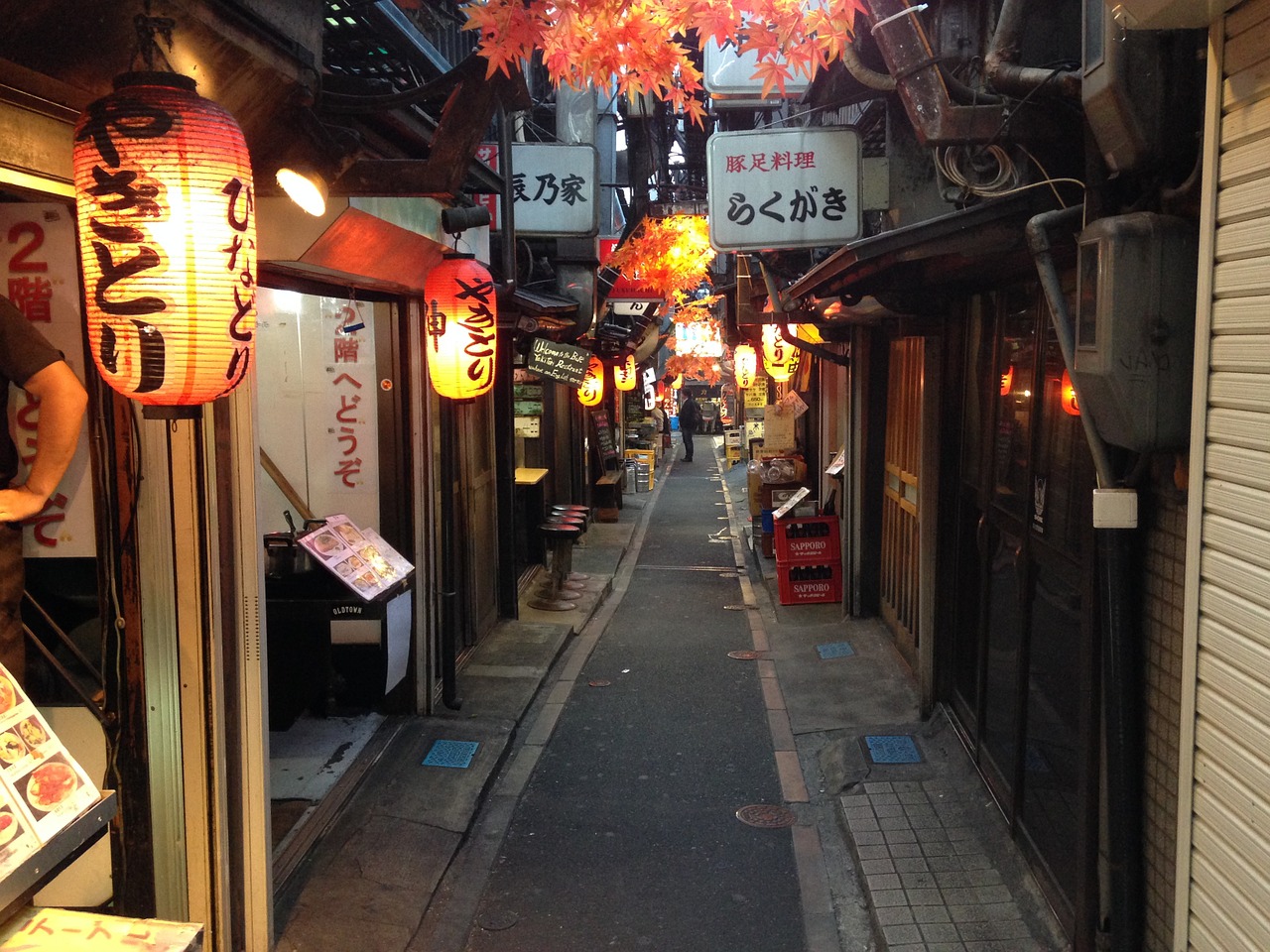 yakitori alley tokyo
