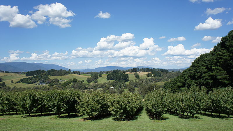 yarra valley victoria