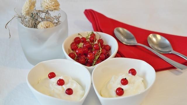 yogurt kitul dessert crema