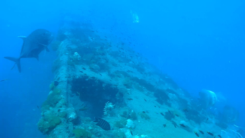 14 yongala wreck