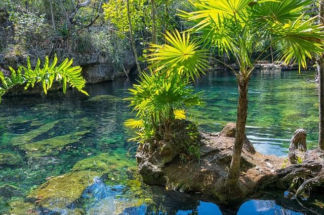 nella natura dello yucatan