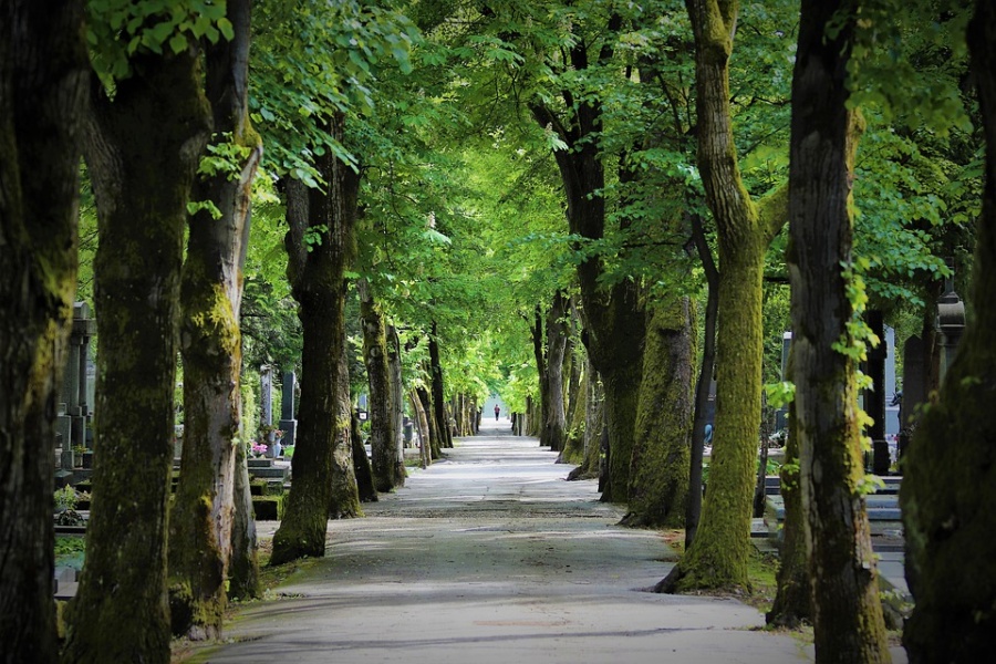 zagabria autunno