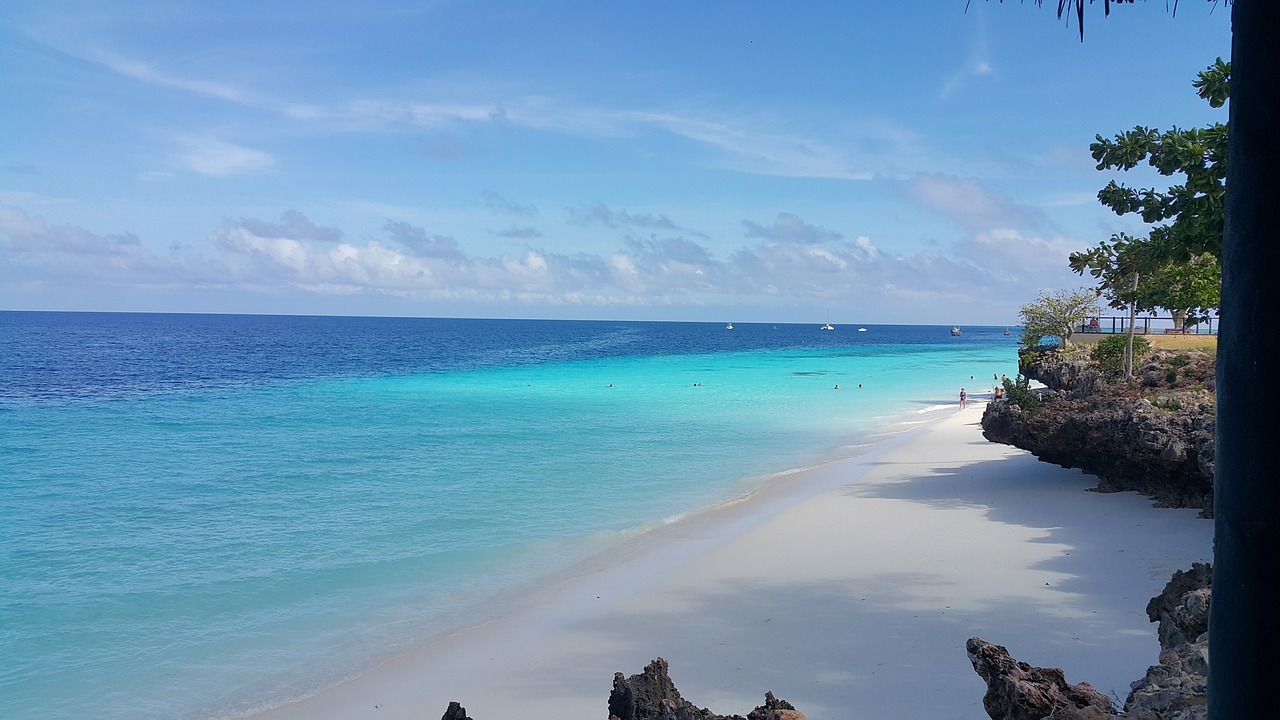 zanzibar africa tanzania spiaggia