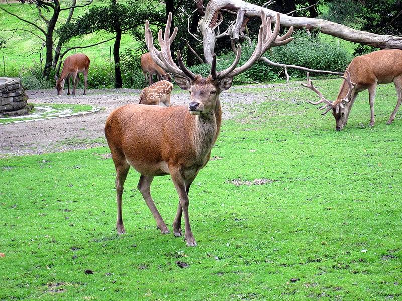 zoo dortmund