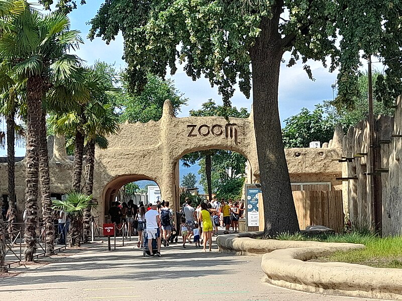 zoom torino 01