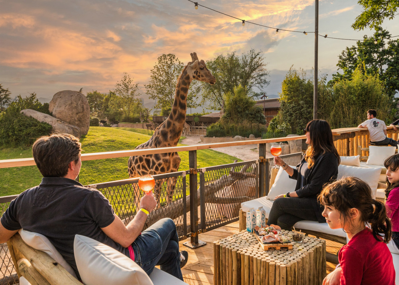 zoomtorino savana terrace