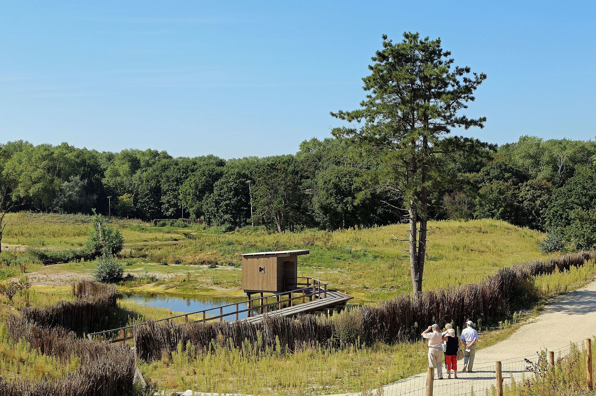 Riserva Naturale dello Zwin Belgio birdwatching e natura.